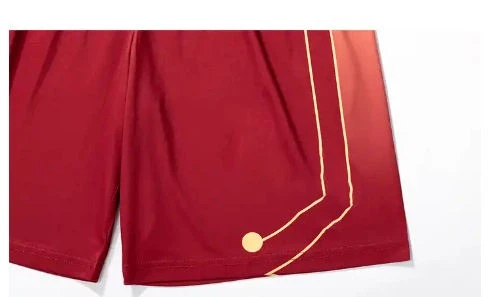 Quick Dry Athletic Sport Running Shorts best